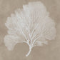 Ashley Express - Hendridge Wall Art Set (3/CN)