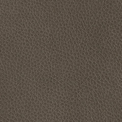 Elksworth Rocker Recliner