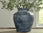 Distressed Blue