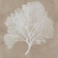 Ashley Express - Hendridge Wall Art Set (3/CN)