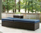 Grasson Lane Chaise Lounge with Cushion